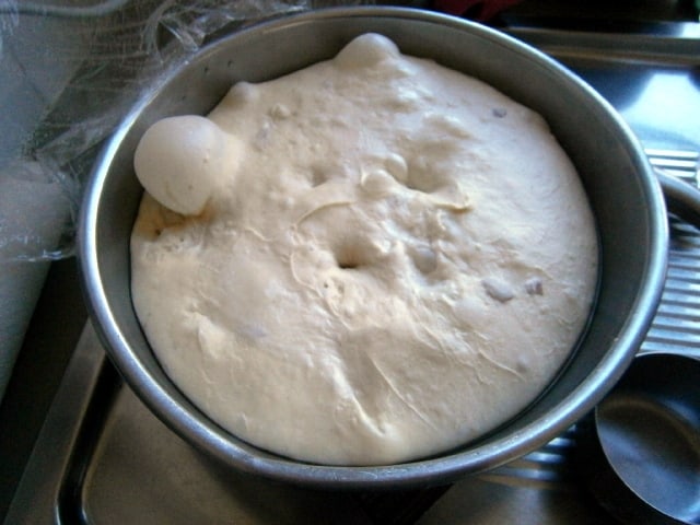 The risen dough