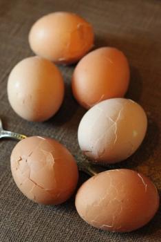tap the eggs all over