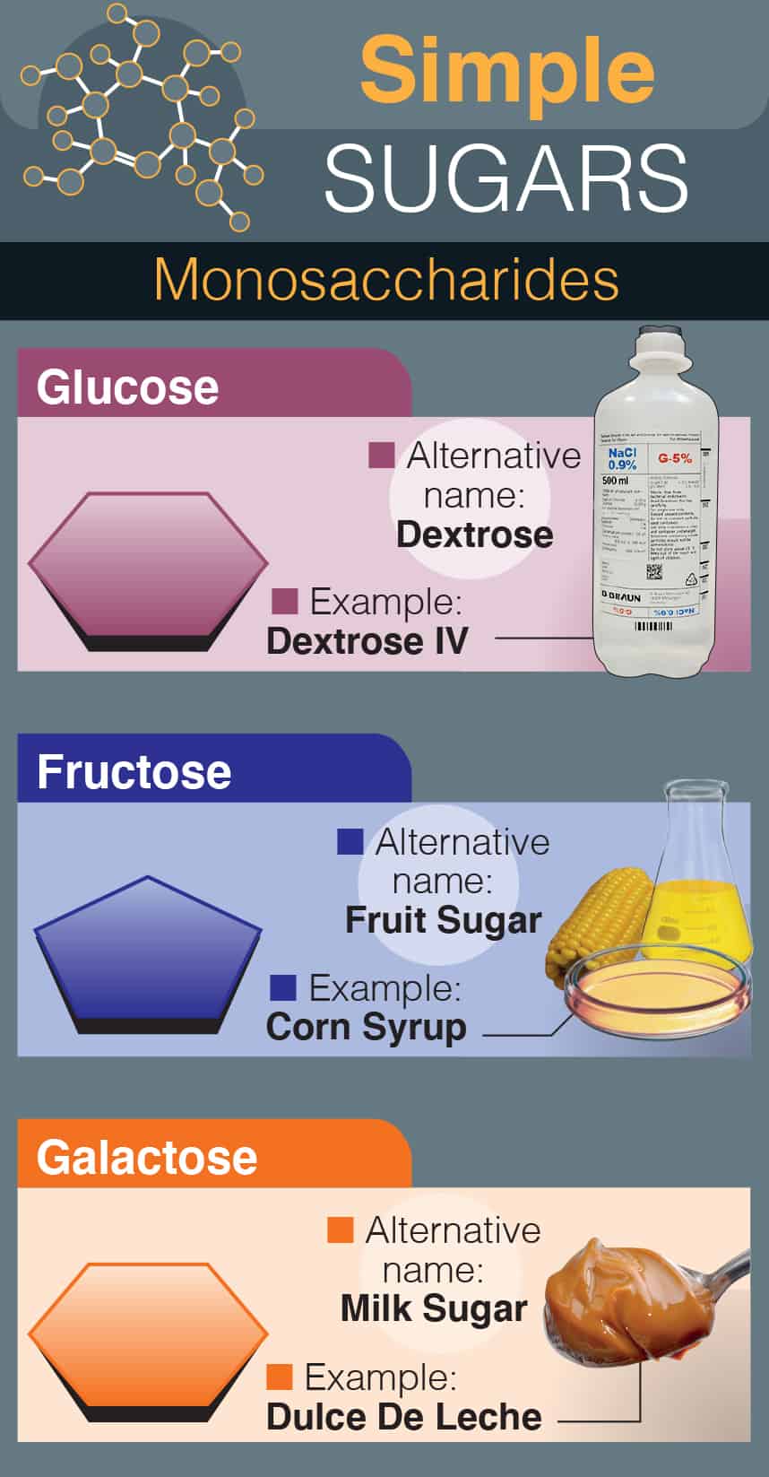 Simple Sugars: Monosaccharides