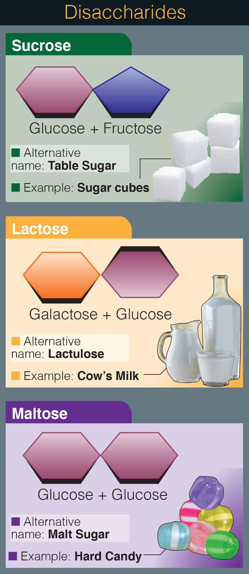 Disaccharides