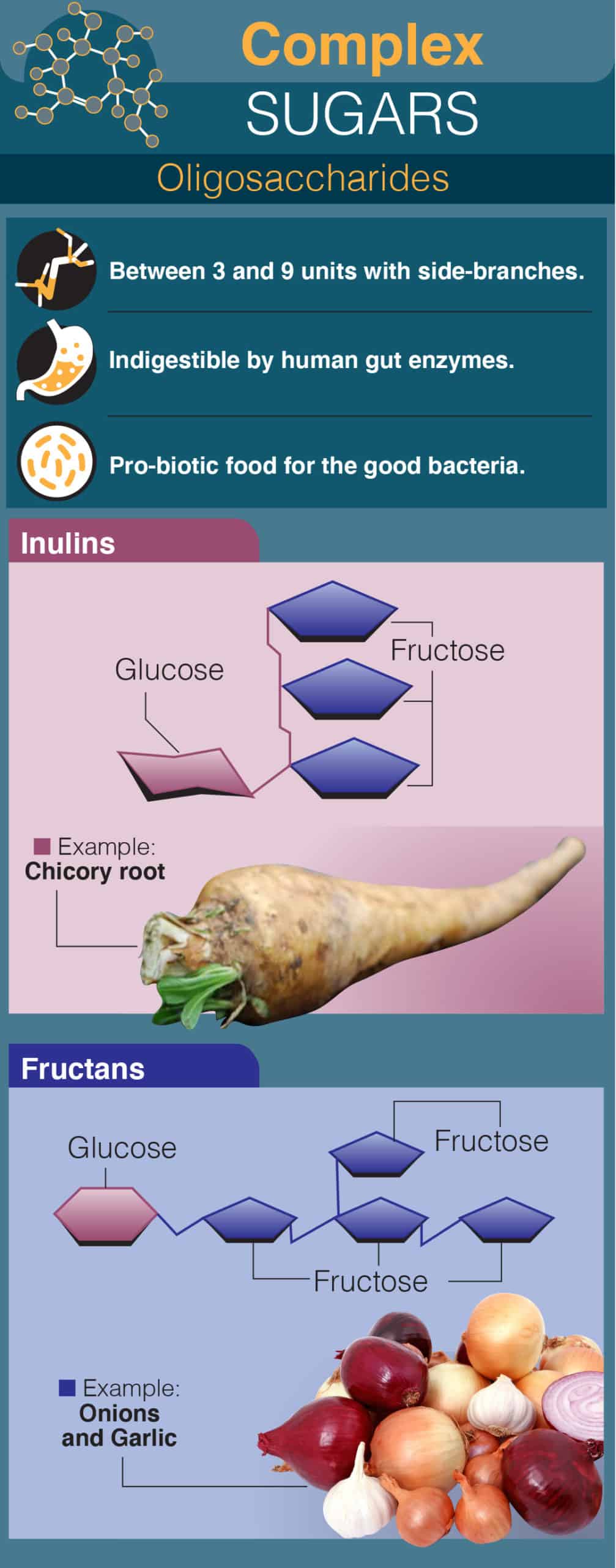 Complex Sugars: Oligosaccharides