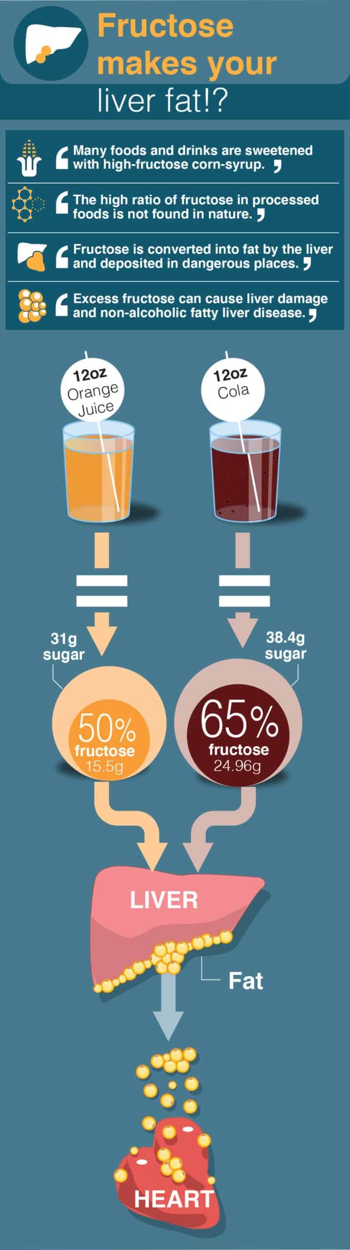 Fructose and liver problems