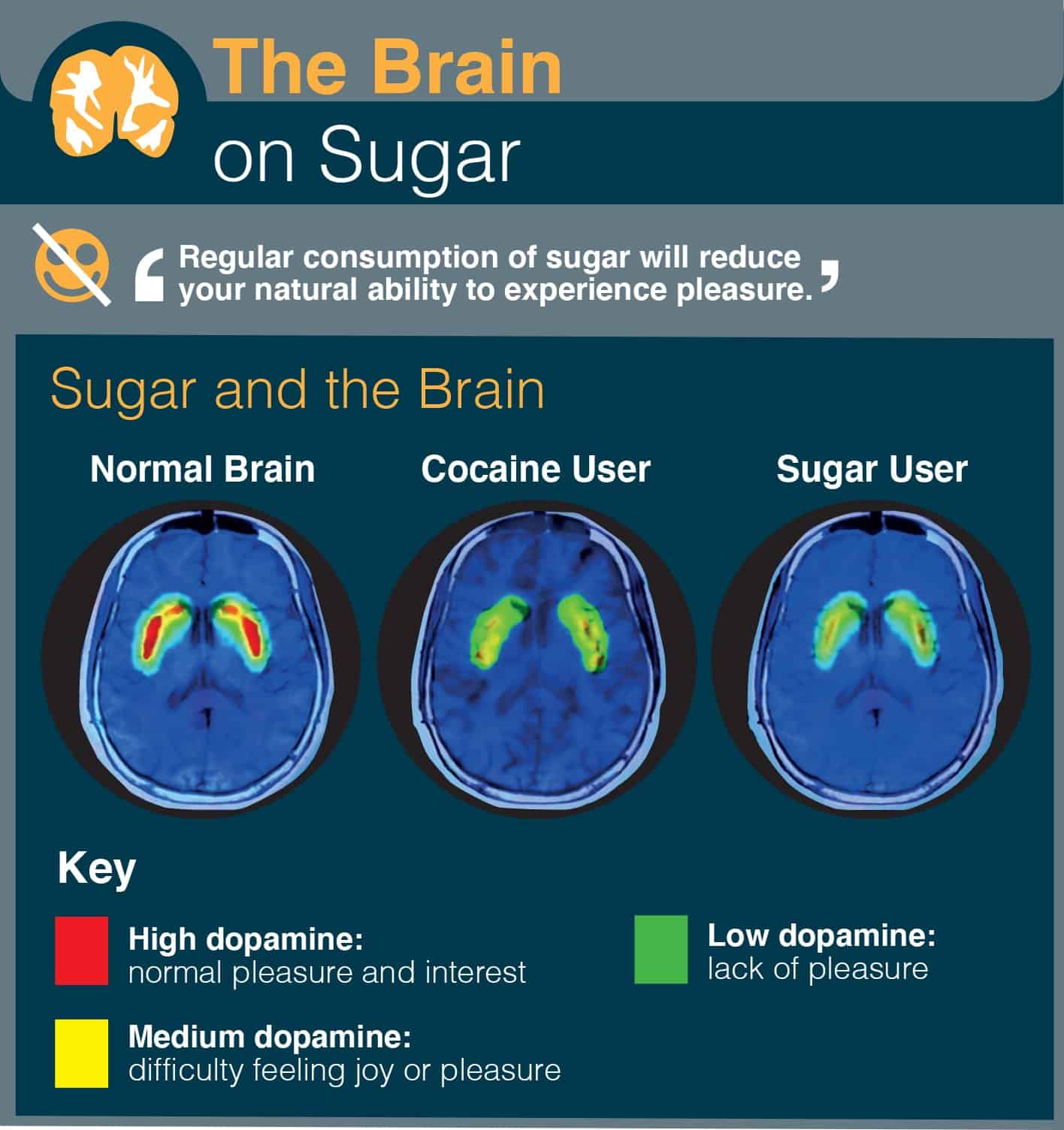 what-is-refined-sugar-and-how-does-it-damage-your-health