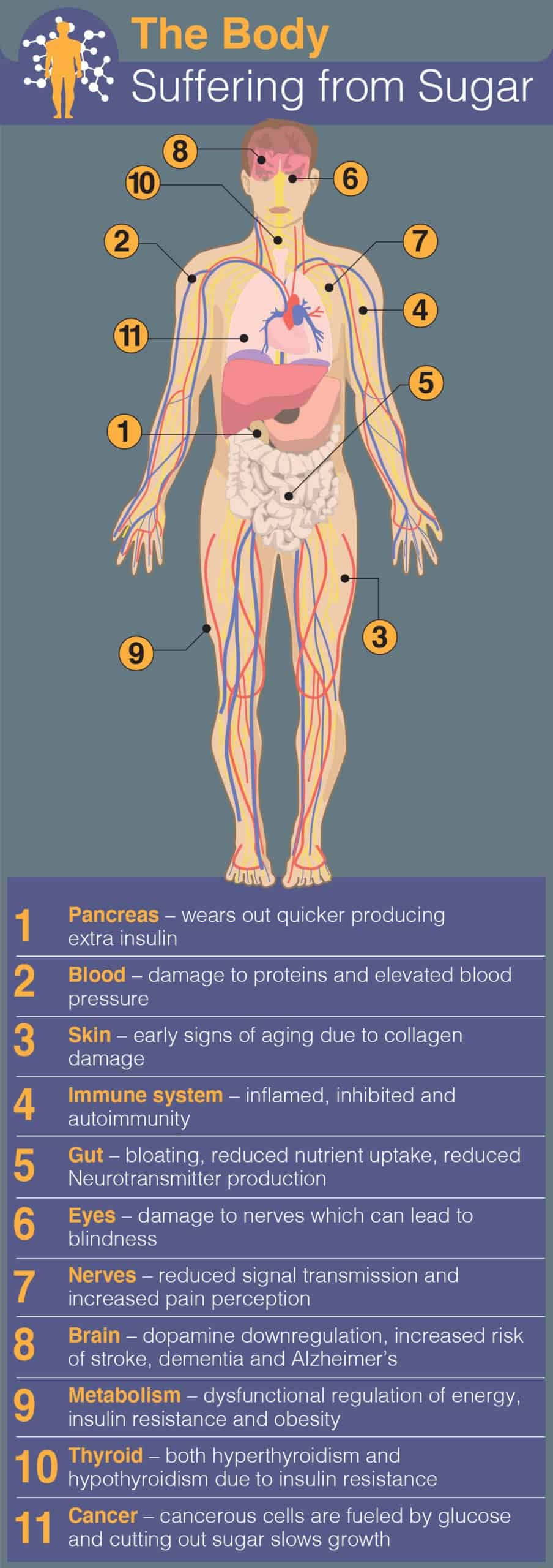 Sugar affects your whole body