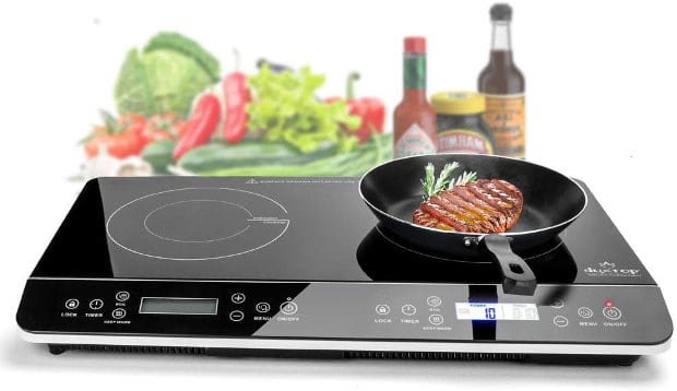 portable induction burner