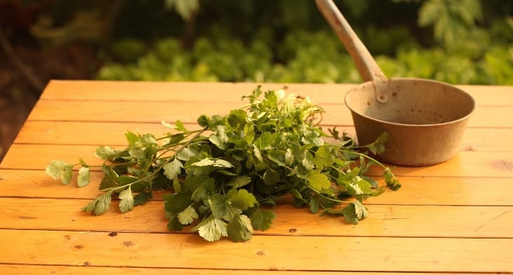 Efficient Parsley, Cilantro, and Tabbouleh Machine