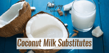 Coconut milk substitutes