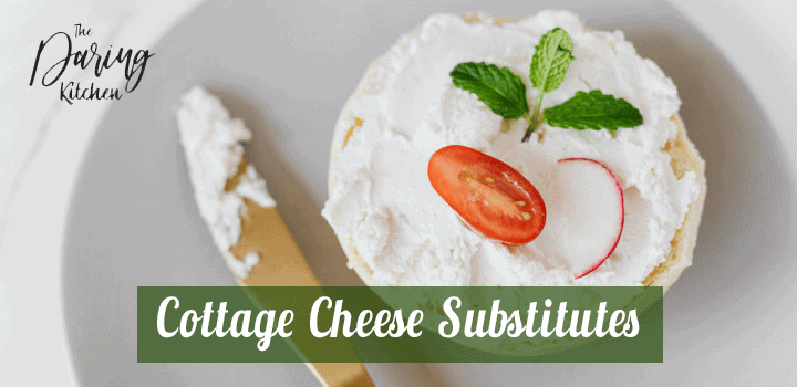 13-best-cottage-cheese-substitutes-daring-kitchen