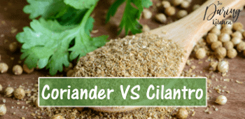 Corainder vs Cilantro
