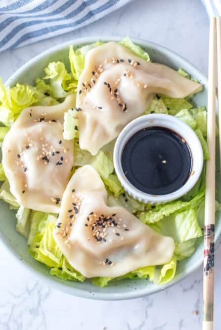 Instant Pot Steamed Dumplings