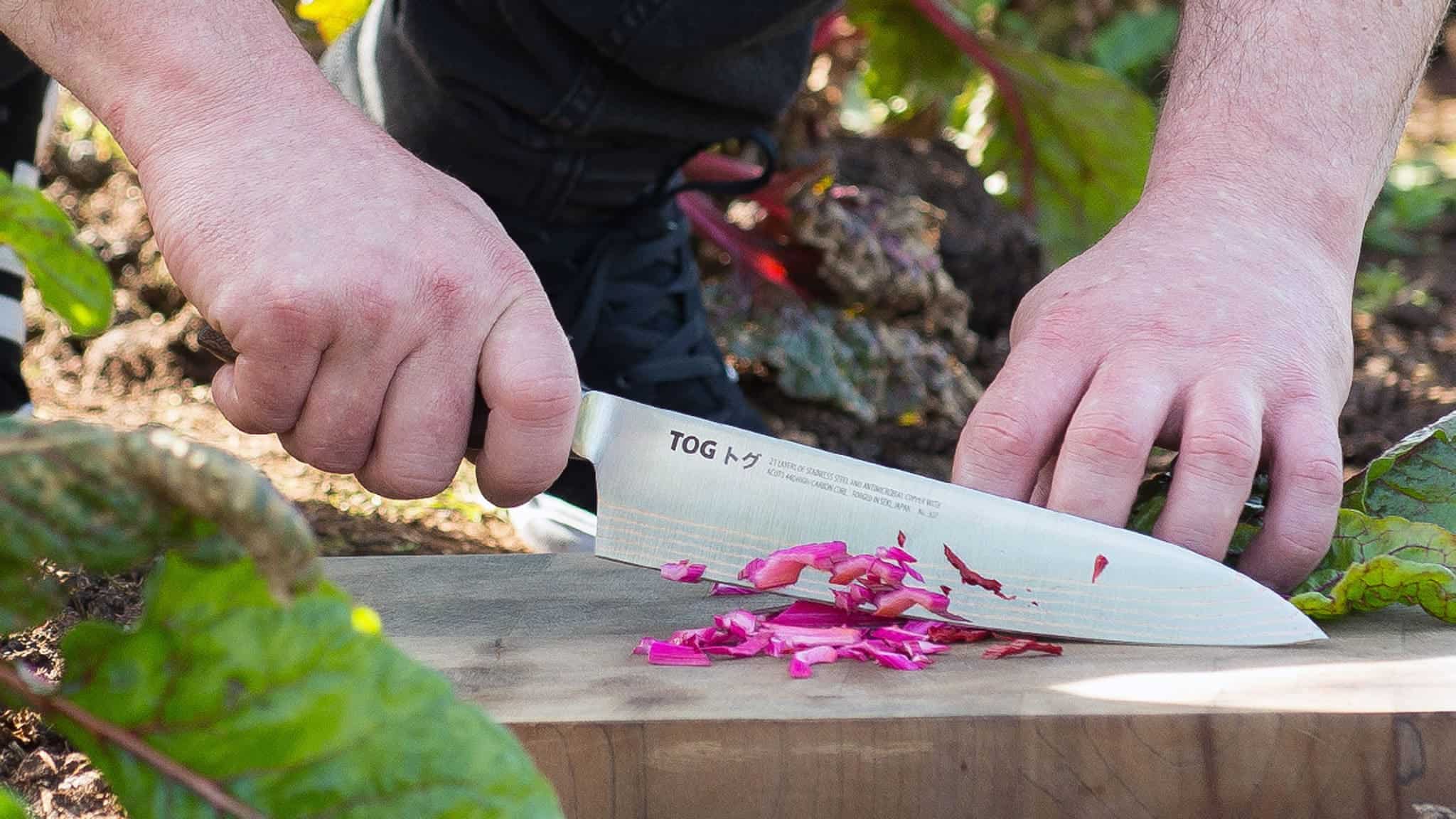 How to Hold a Chef Knife Like a Professional