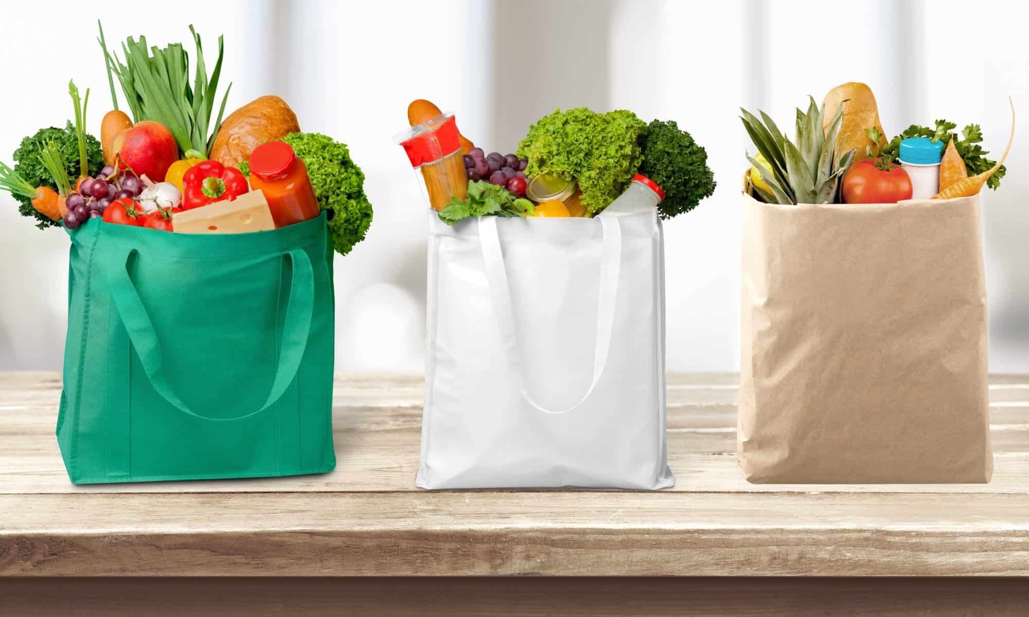 Reviewing the Best Reusable Grocery Bags of 2022 - Daring Kitchen