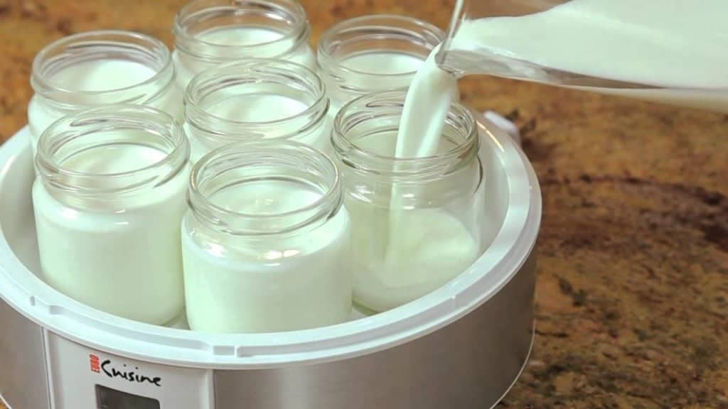 The best yogurt maker to best sale buy