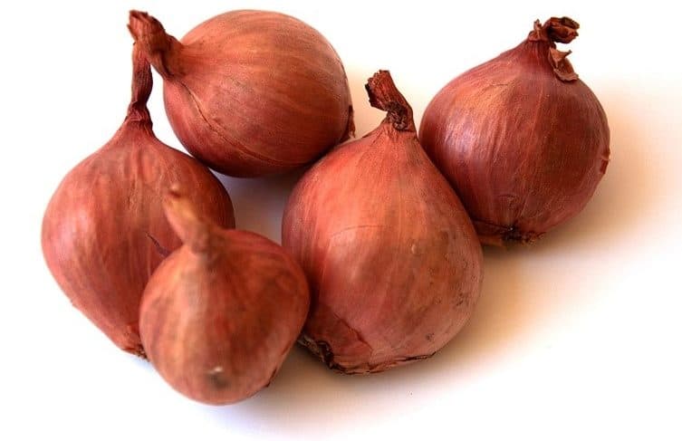 Shallots