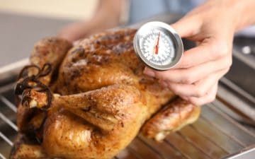 Best Meat Thermometer
