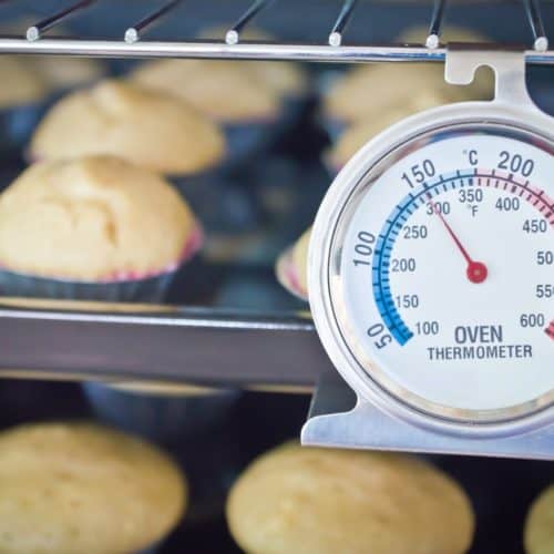 Finding the Best Oven Thermometer