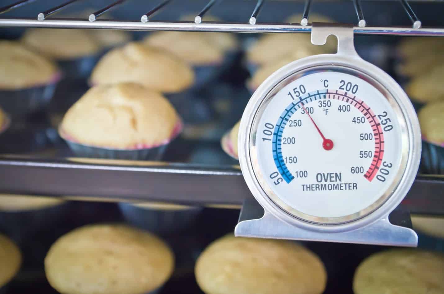 Reviewing The Best Oven Thermometers Daring Kitchen