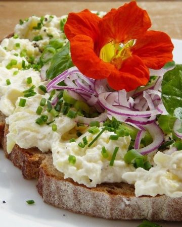 Best Vegan Cream Cheese Varieties