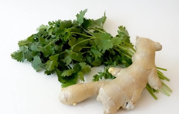 Coriander & Ginger