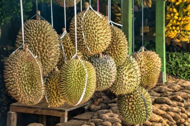 Durian hanging in a market stall