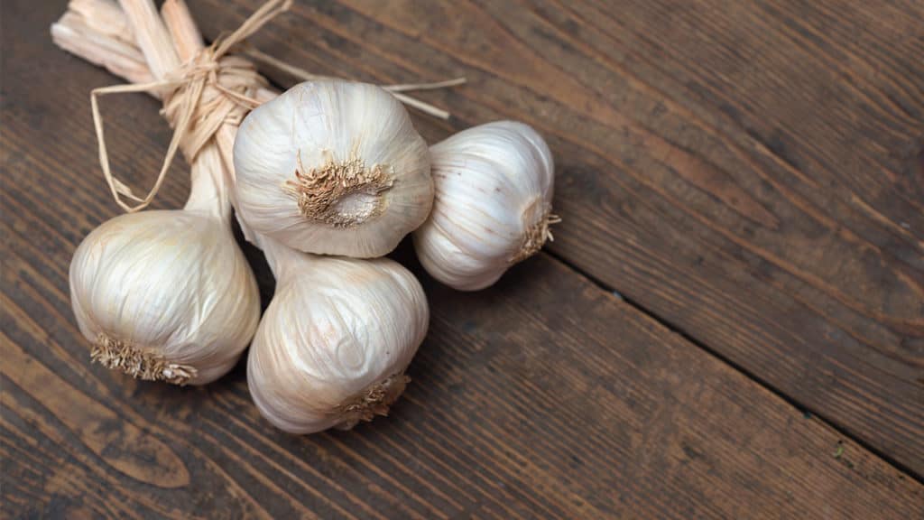 Garlic on Table