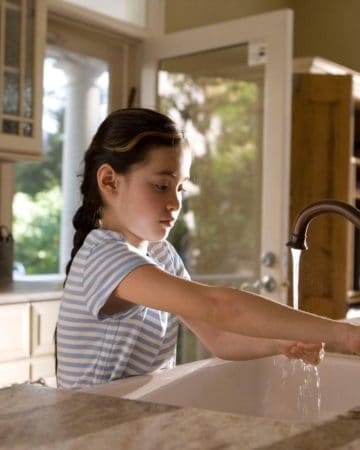 Moen vs Delta Kitchen Faucet Comparison