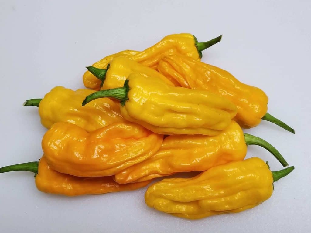 Pepperoncini Vs Banana Pepper What S The Difference Daring Kitchen