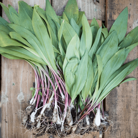 Ramps