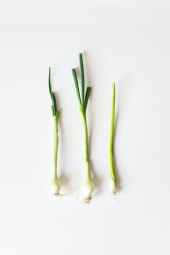 Scallions