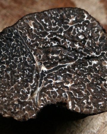 Why Are Truffles So Expensive