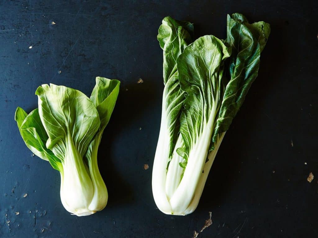 Bok Choy