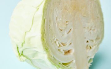 a head of cabbage halved and ready to cut.
