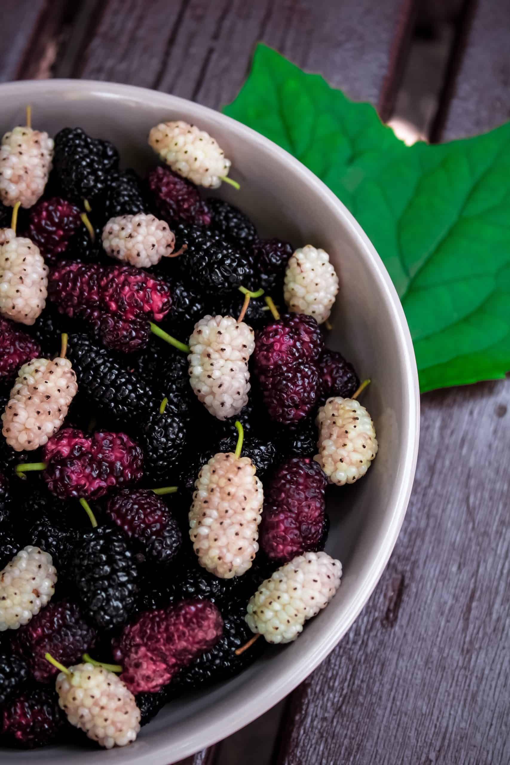 Mulberry Vs Blackberry: What's The Difference? - Daring Kitchen