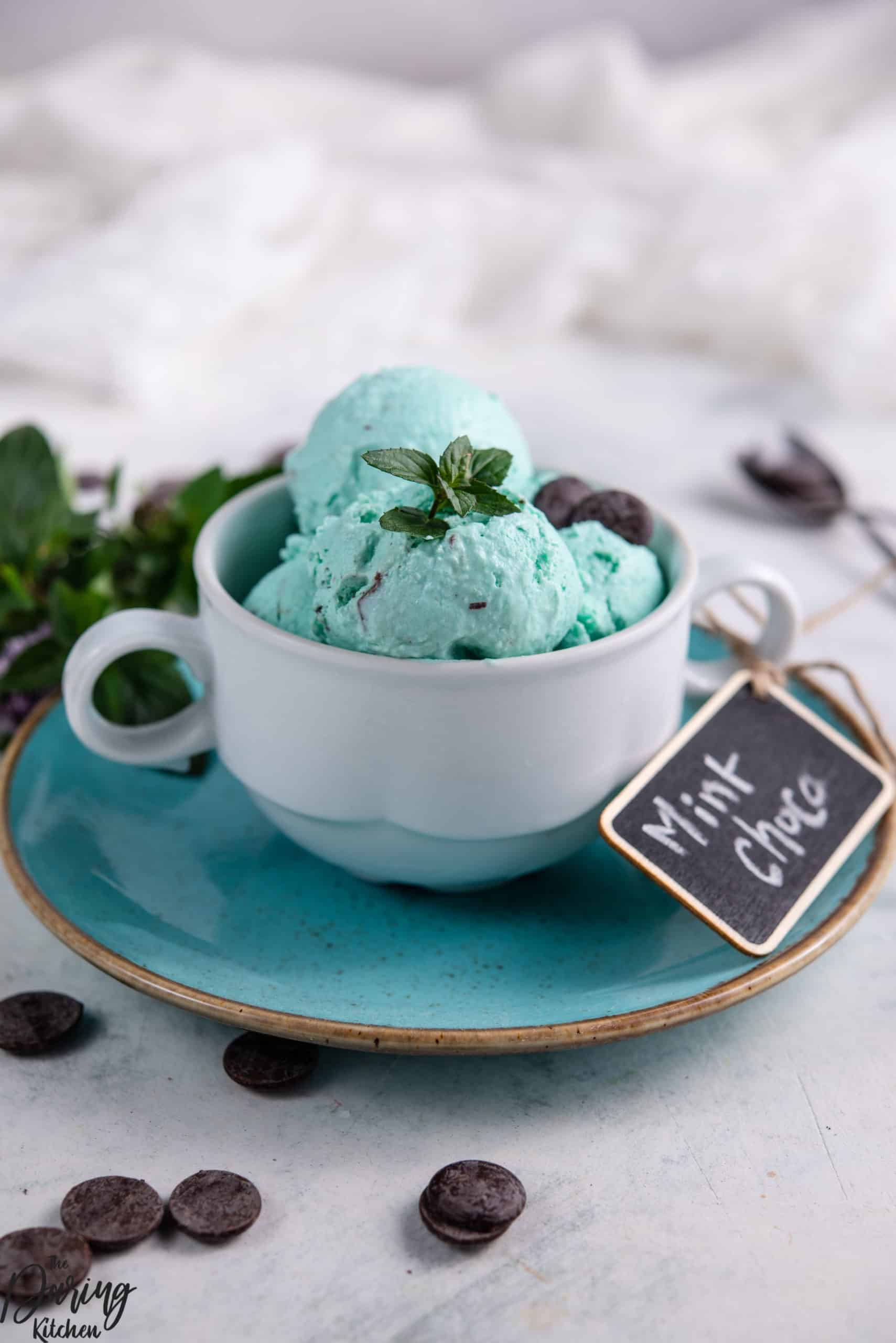 NoChurn Vegan Mint Chocolate Chip Ice Cream Daring Kitchen