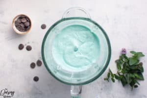 Blended Mint Chocolate Chip Ice Cream