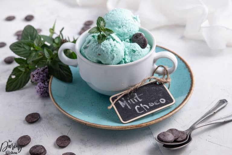 Mint Chocolate Chip Ice Cream
