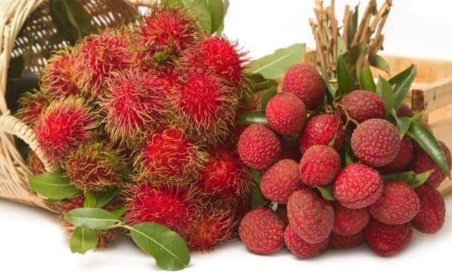 Rambutan vs. Lychee: What's the Difference? - Daring Kitchen