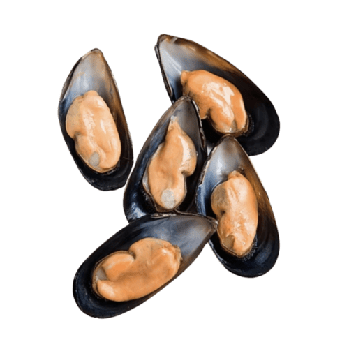 Green Mussels Vs Black Mussels Whats The Difference Daring Kitchen