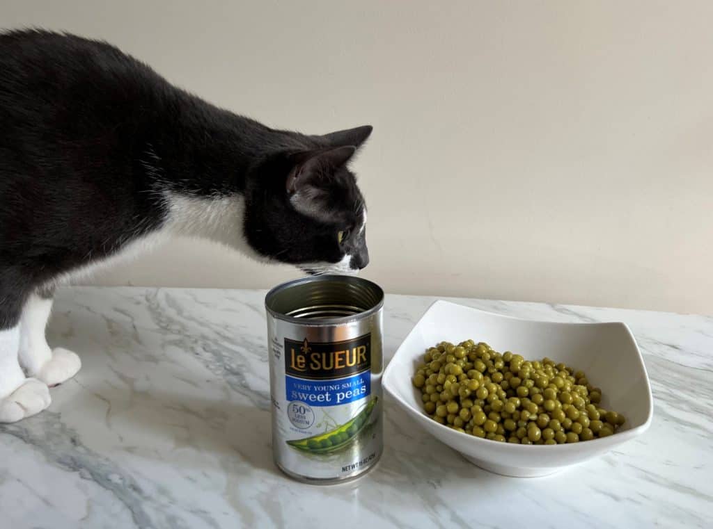 are canned peas bad for dogs