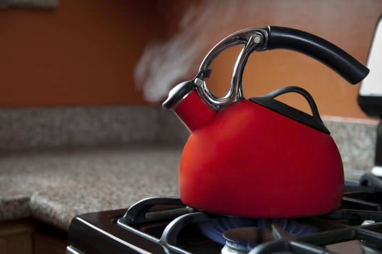 Teapot vs. Tea Kettle What’s the Difference? Daring Kitchen