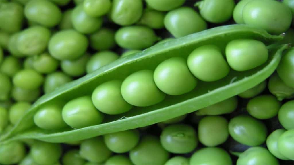 Canned Peas vs. Frozen Peas What’s the Difference? Daring Kitchen