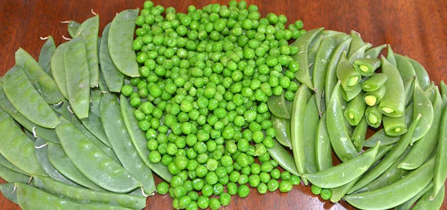 What's the Difference Between Peas and Beans? - Daring Kitchen