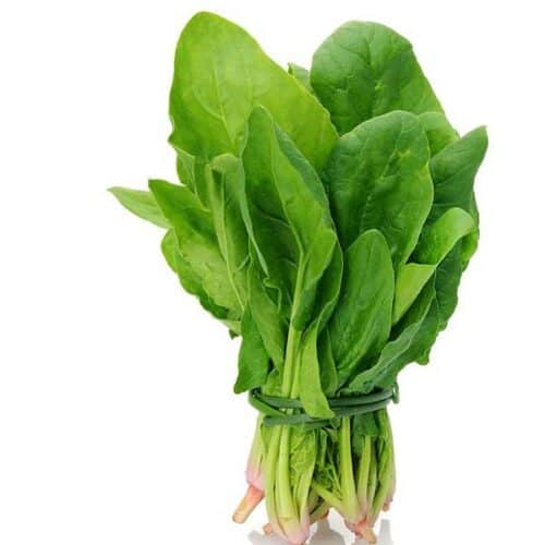 Fresh Spinach vs. Frozen Spinach vs. Canned Spinach: What’s the