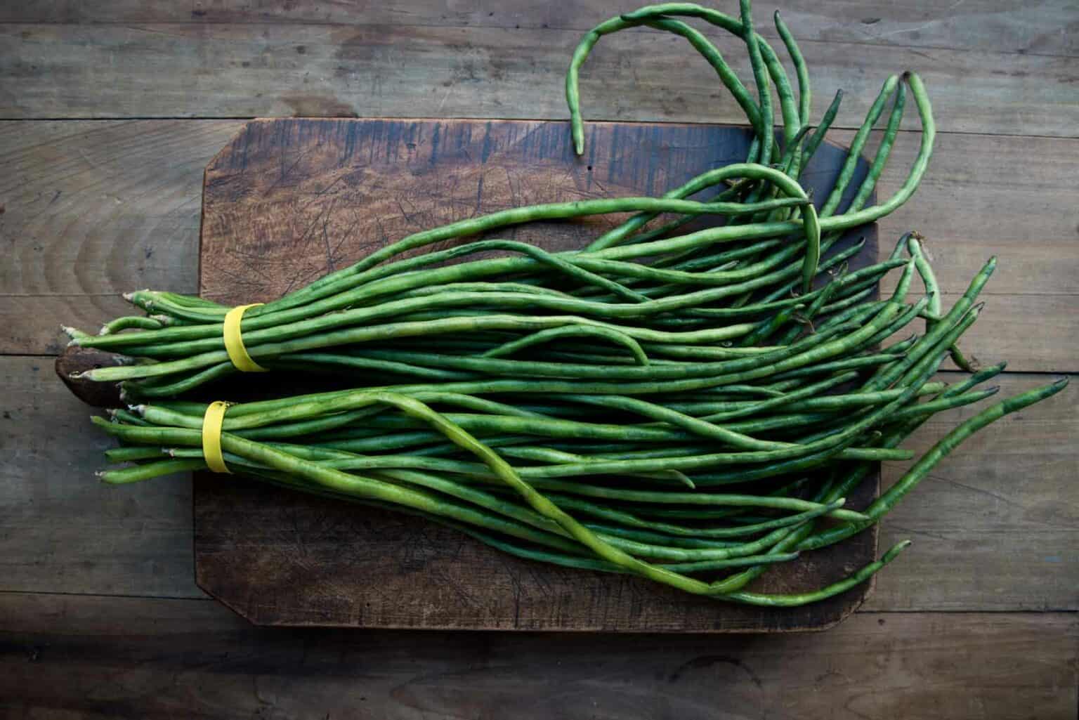 Legumes vs. Beans vs. Pulses What’s the Difference? Daring Kitchen