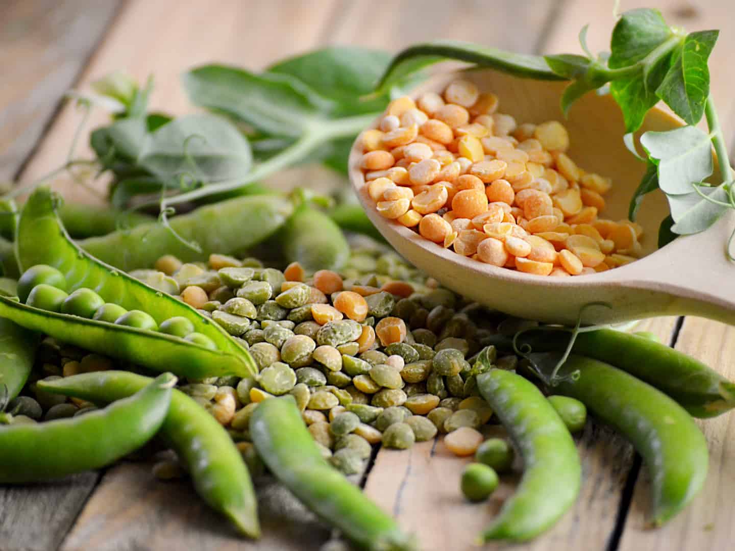 Legumes vs. Beans vs. Pulses What’s the Difference? Daring Kitchen