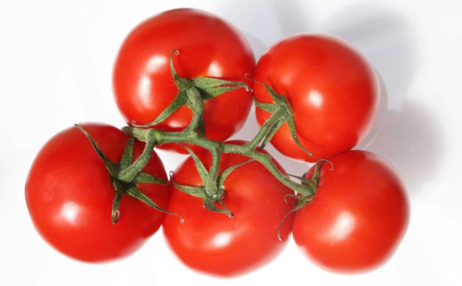 5-tips-for-growing-tomatoes-in-pots