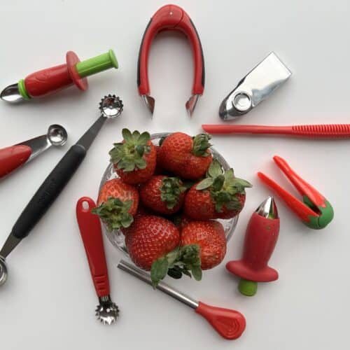 Blades and Cleaning Brush for Brieftons QuickPush Food Chopper